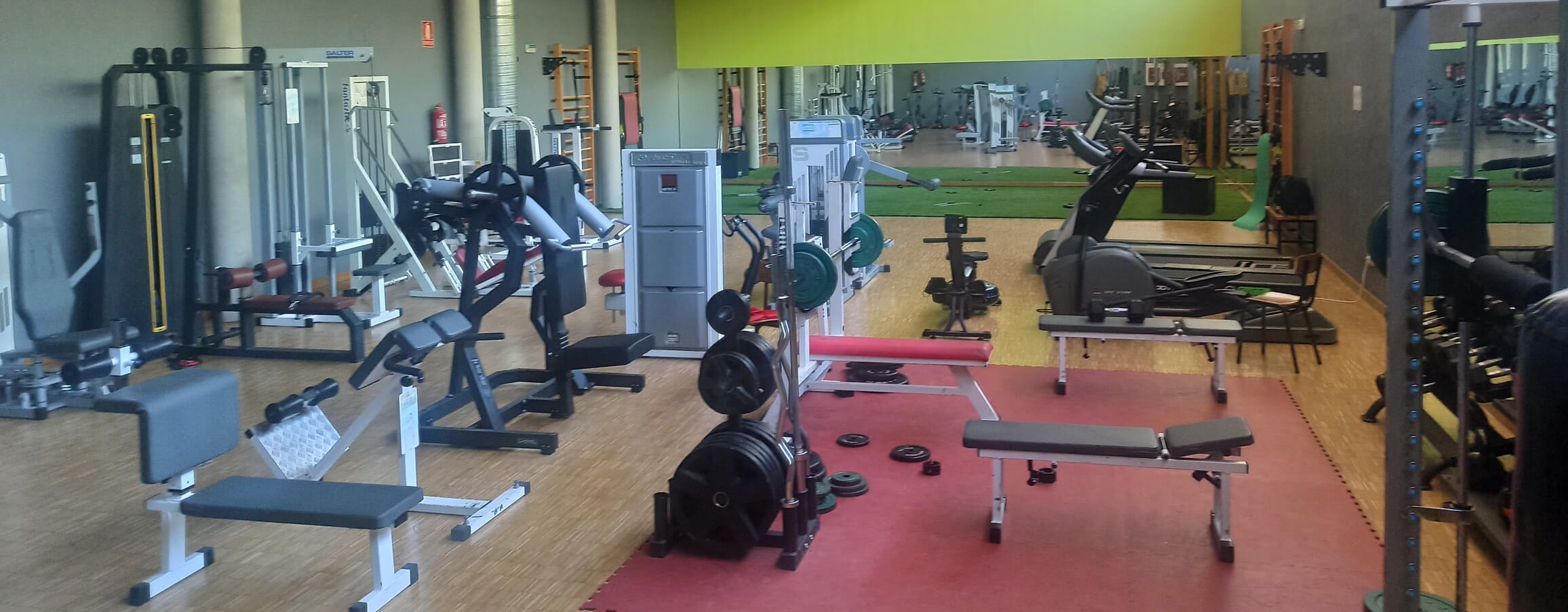 Gimnasio